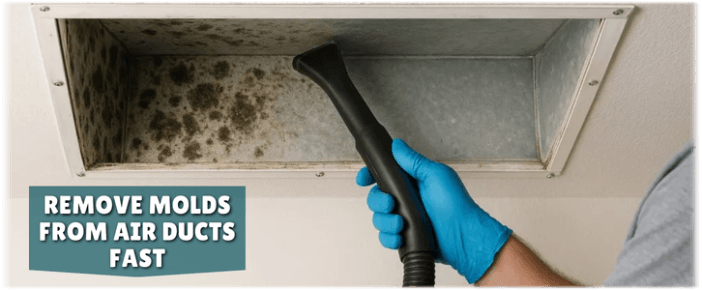 Air Duct Mold Removal in Katy